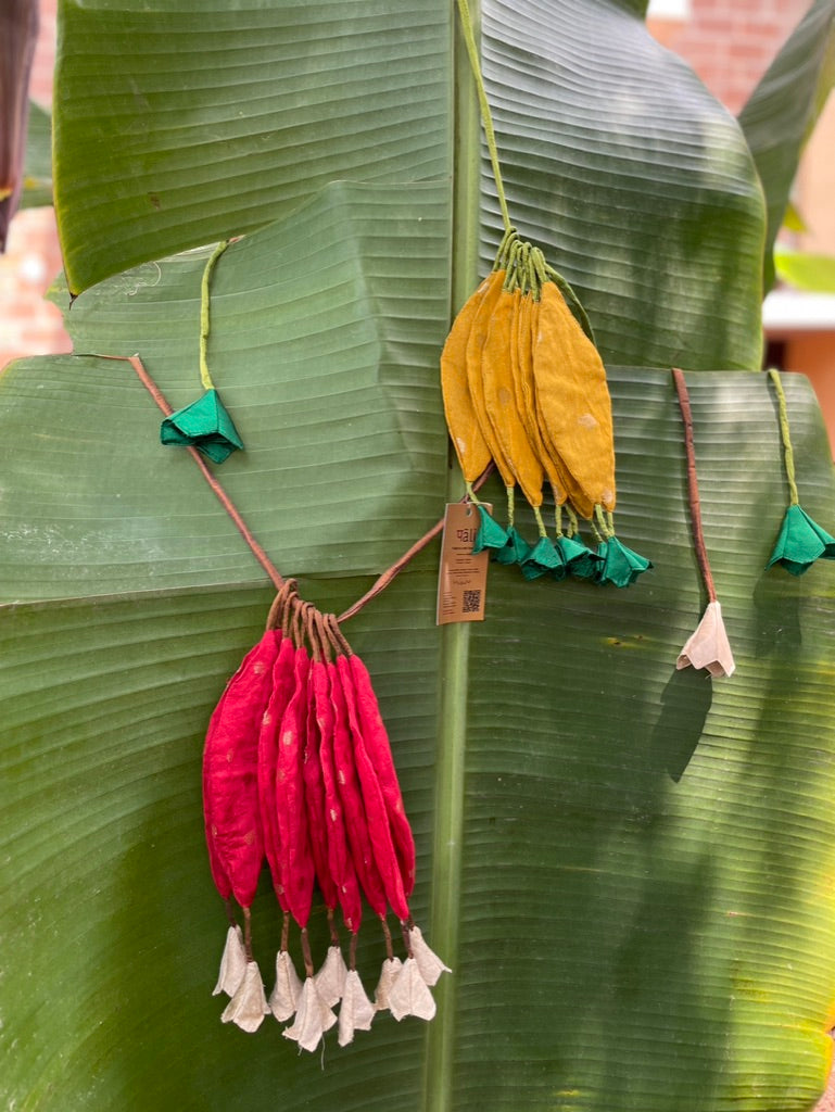 Mango Toran
