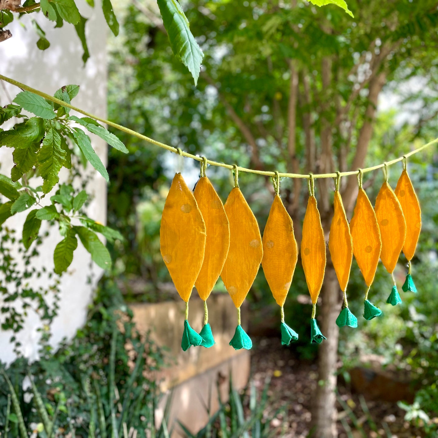 Mango Toran