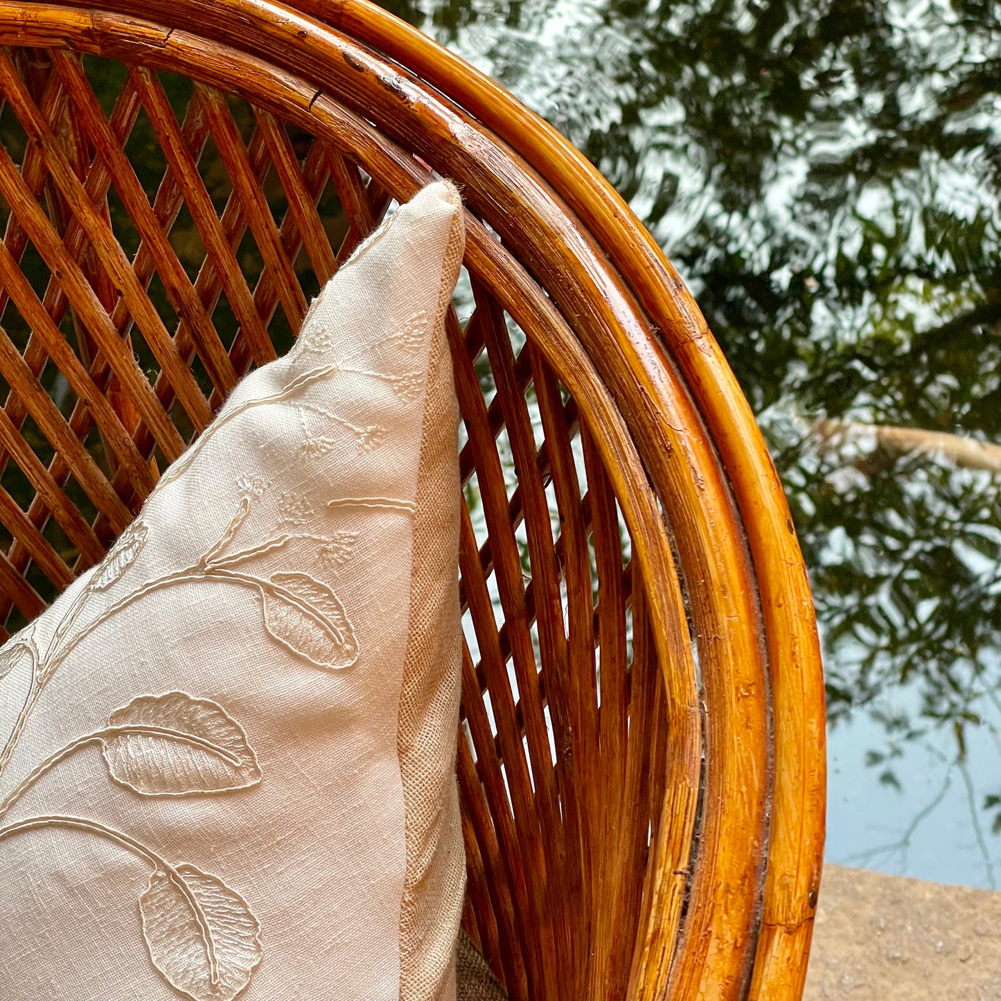 Panna Cotta - Assorted