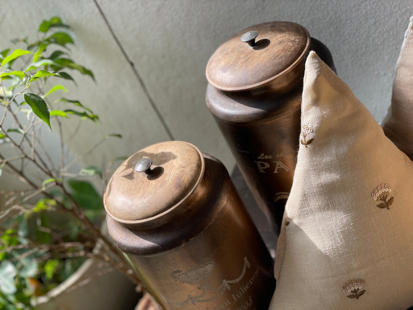 Panna Cotta - Jasmine