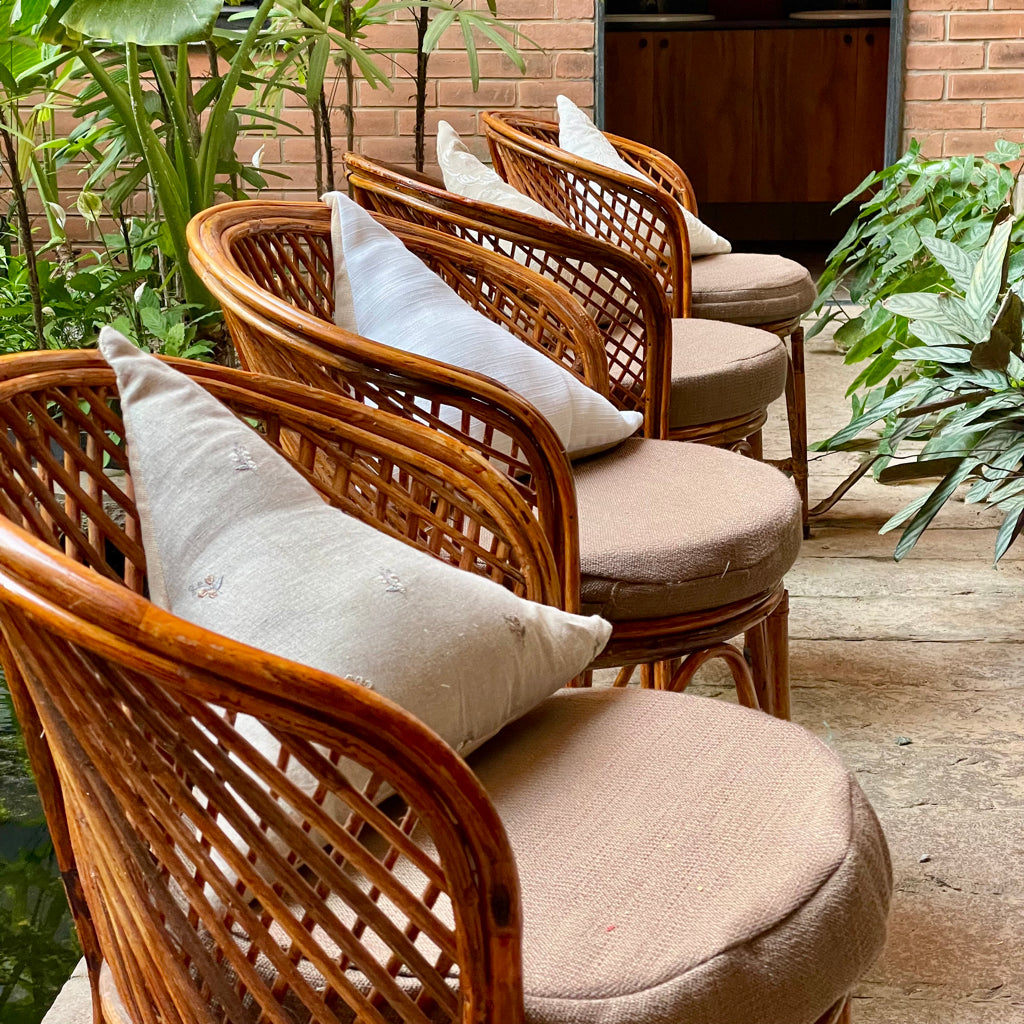 Panna Cotta - Americano