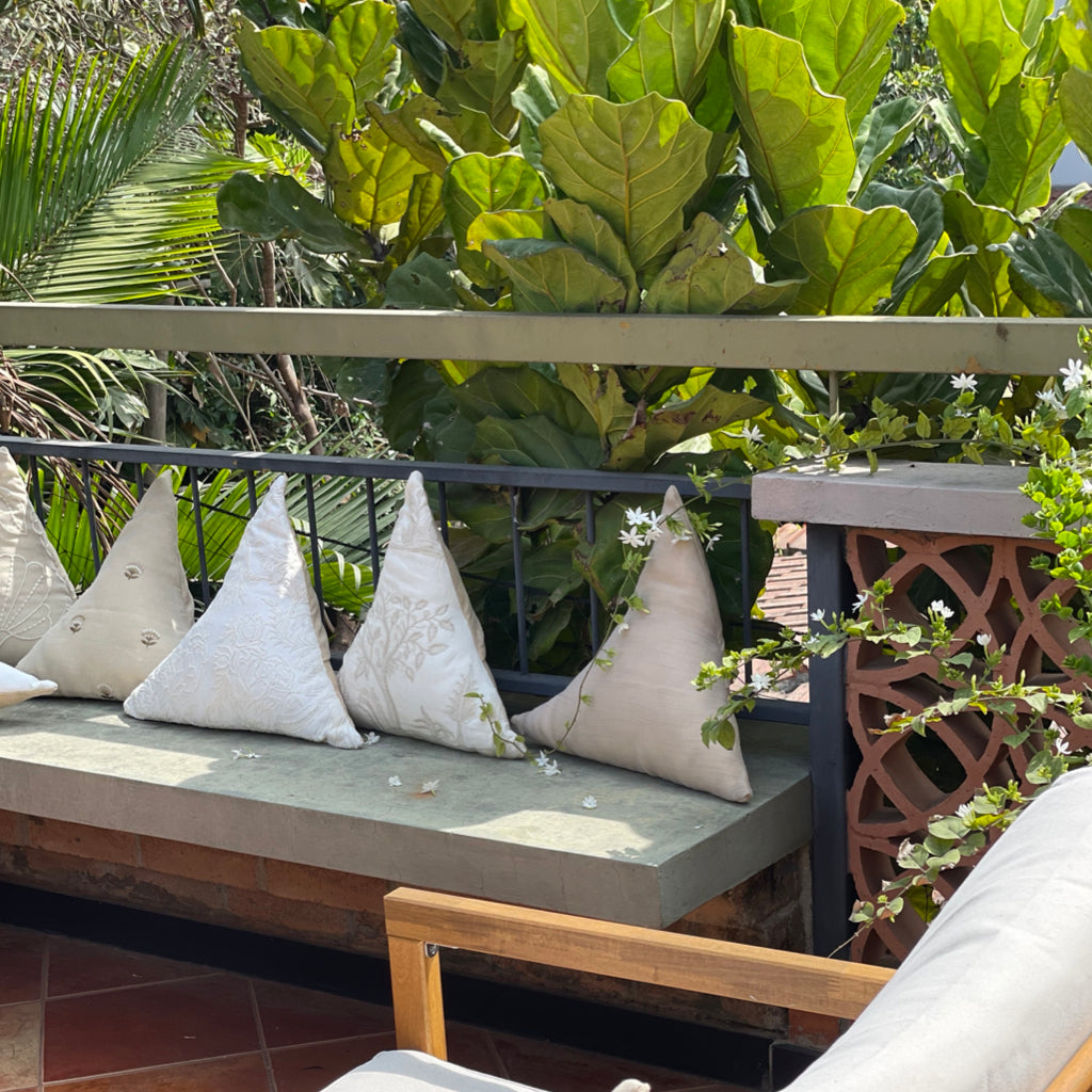 Panna Cotta - Frappe