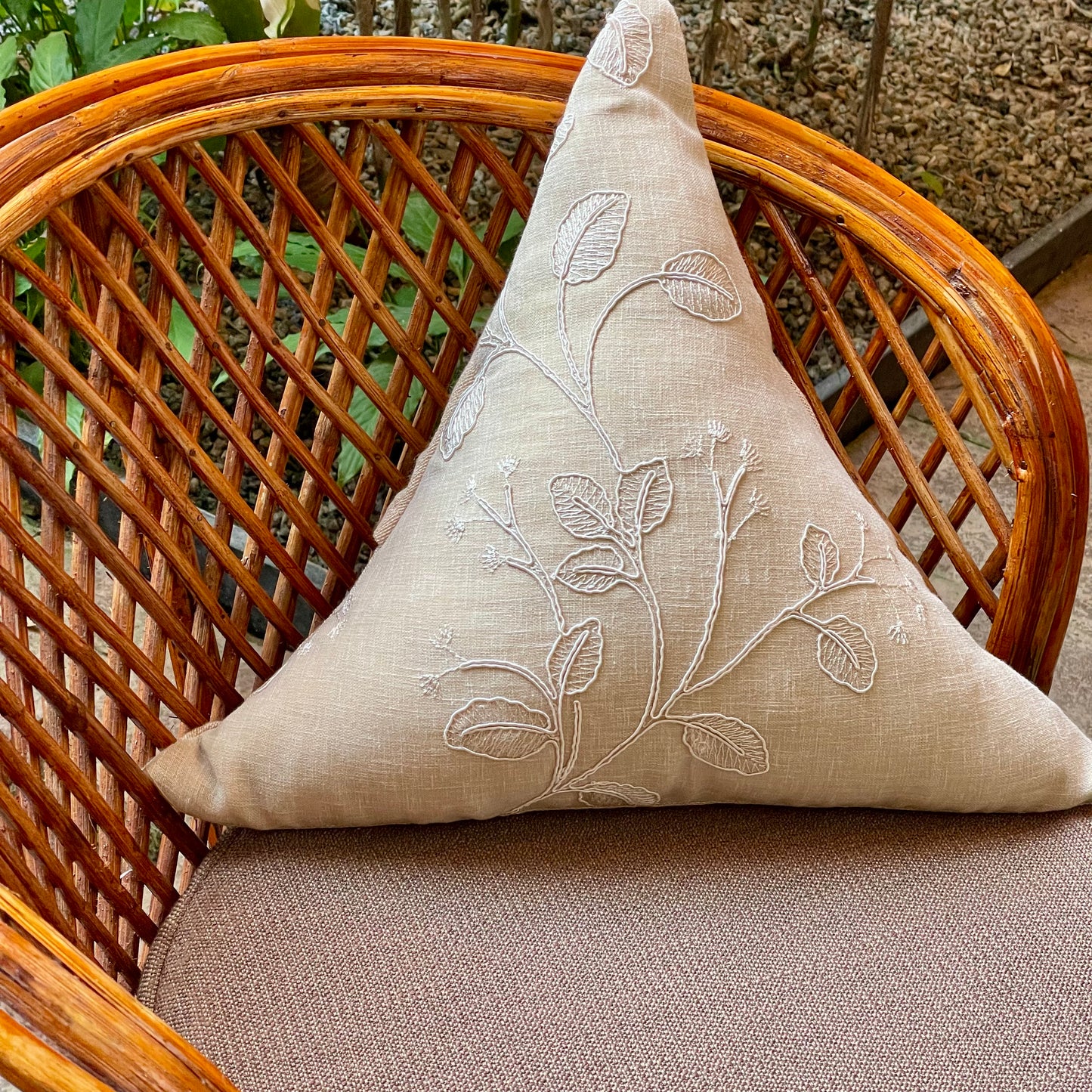 Panna Cotta - Assorted