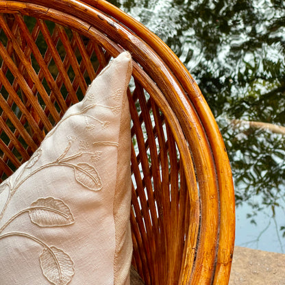 Panna Cotta - Assorted