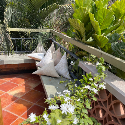 Panna Cotta - Frappe