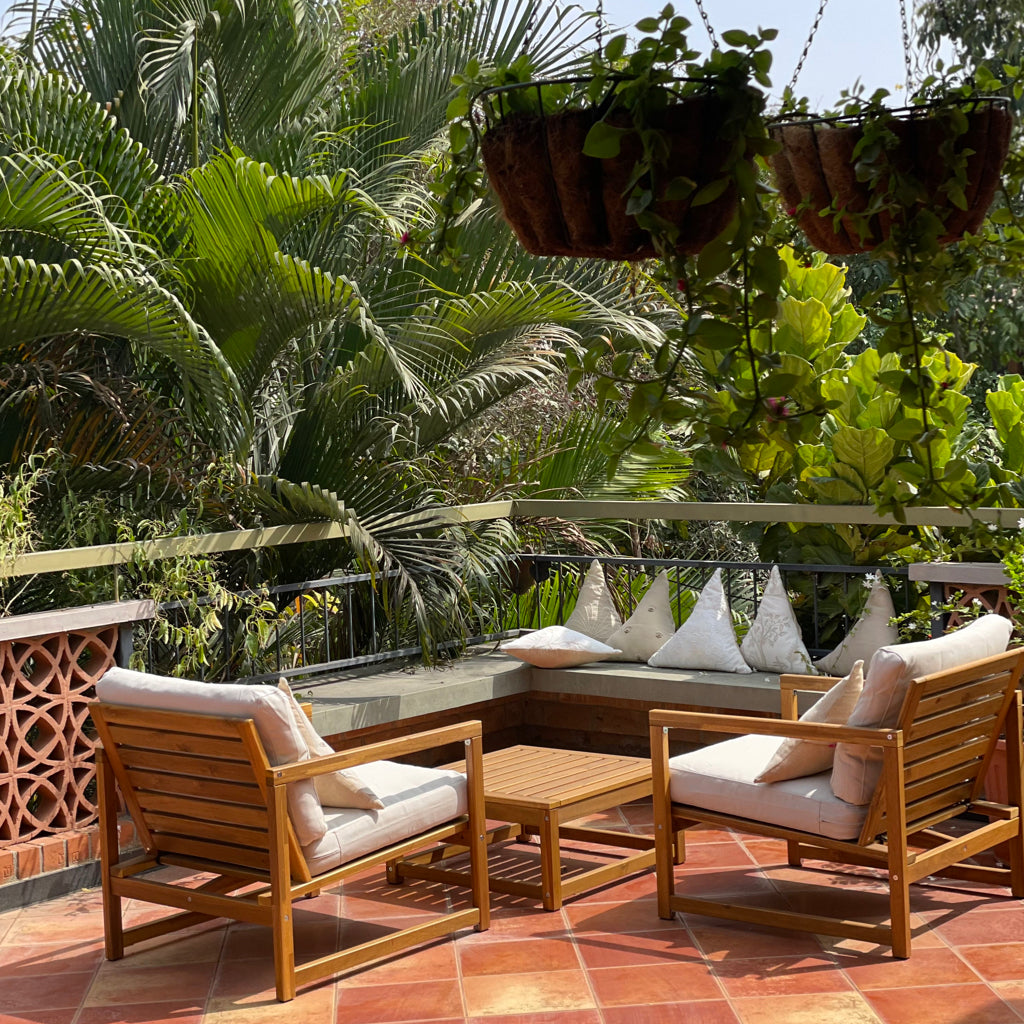 Panna Cotta - Frappe