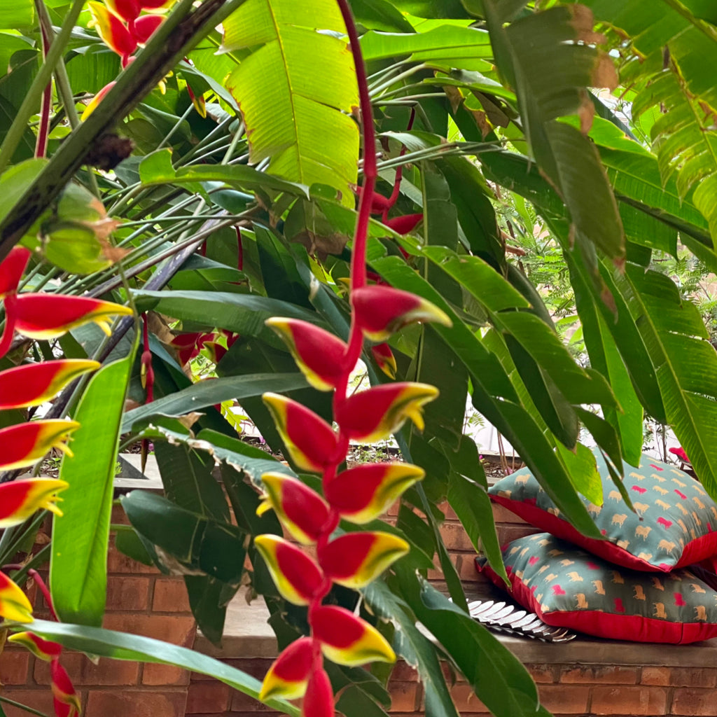 Clyde - Haveli - Green