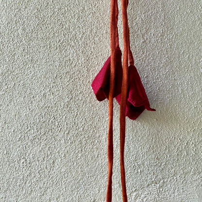 Sumatra Toran